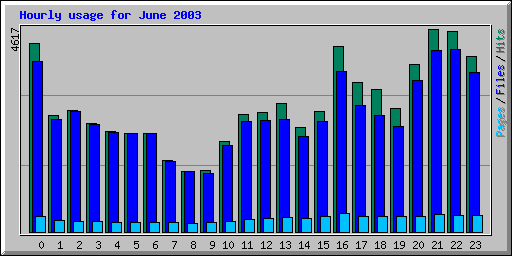 Hourly usage for June 2003